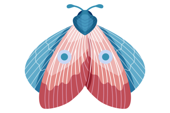 Colorful Moth with Decorative Spot Ornam: A Designer's Playful Secret Weapon