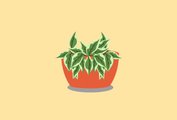 Hoya Decorative Plants Vector: A Botanical Asset for Modern Brands