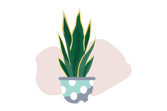 Spring Decorative Plant Design: Elevating Your Visual Projects